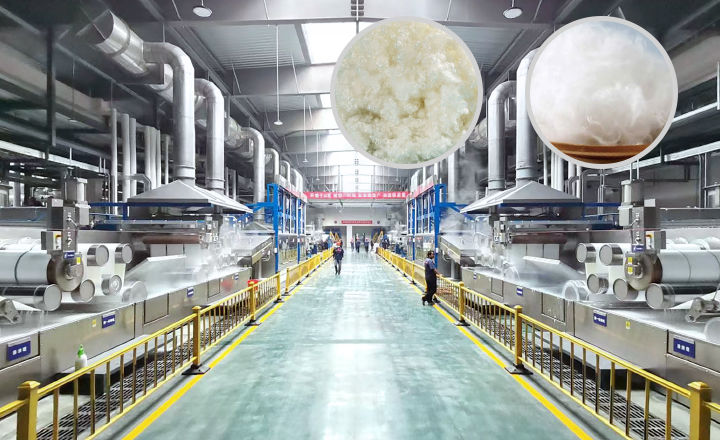 短纤纺丝工程成套设备